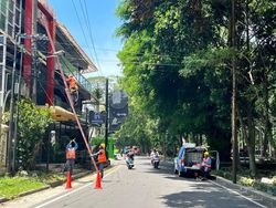 Angin Kencang Tumbangkan Pohon di Malang, Listrik Padam