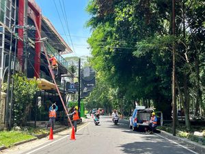 Angin Kencang Tumbangkan Pohon di Malang, Listrik Padam