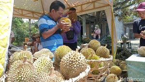 Menilik Pasar Hortikultura Blitar Pusat Durian Lokal