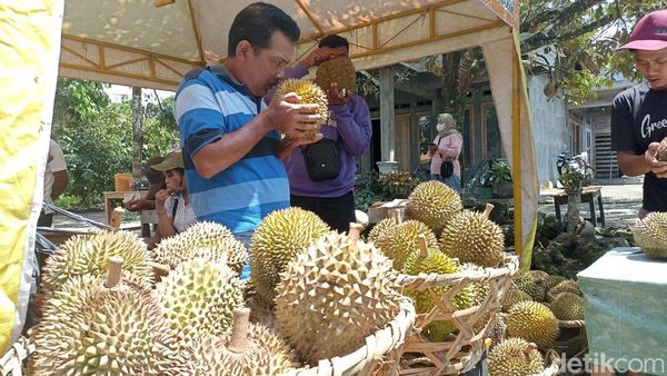 Menilik Pasar Hortikultura Blitar Pusat Durian Lokal