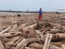 Pantai Larangan Tegal Dipenuhi Kayu Pascabanjir Bandang di Guci