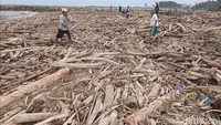 Guci Diterjang Banjir Bandang, Pantai Larangan Dipenuhi Kayu Gelondongan