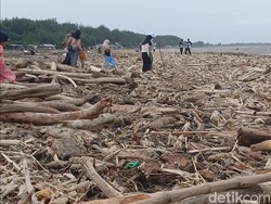 Banjir di Lereng Slamet Bawa Kayu Gelondongan, Walhi: Indikasi Deforestasi