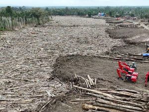 Pemprov Aceh Targetkan Pemanfaatan Kayu Banjir Bandang Selesai Sebelum Ramadan