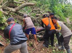 58 Bencana Landa Karangasem di Awal Tahun, Kerugian Tembus Rp 2 Miliar