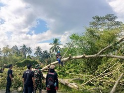 Angin Kencang Terjang Tasikmalaya, Belasan Rumah Rusak Tertimpa Pohon