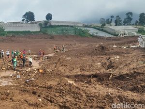 Longsor di Kaki Gunung Burangrang Capai 26 Hektare