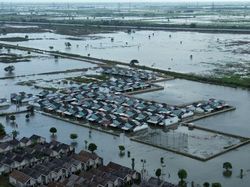 5.168 Hektare Sawah di Bekasi Terendam Banjir, Petani Terancam Gagal Panen
