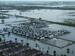 5.168 Hektare Sawah di Bekasi Terendam Banjir, Petani Terancam Gagal Panen