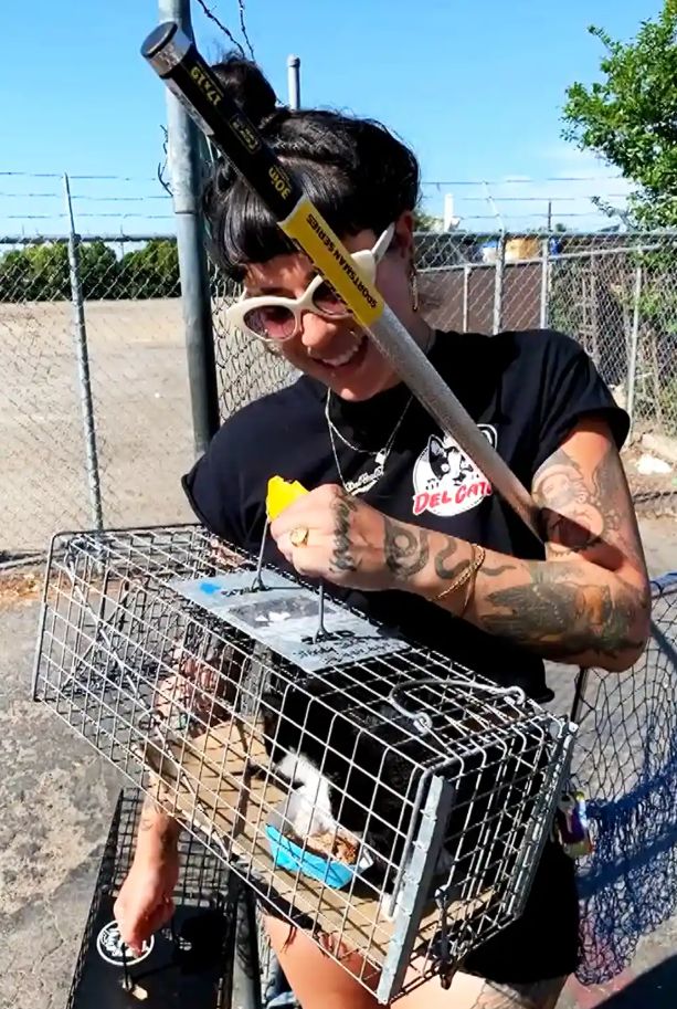 Jen Knight aktivis kucing