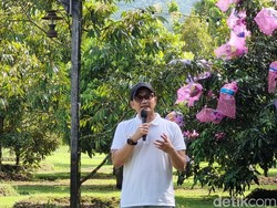 Dolar AS Nyaris Rp 17.000, BPKH: Stok Dana Haji Sudah Ada, Nggak Beli