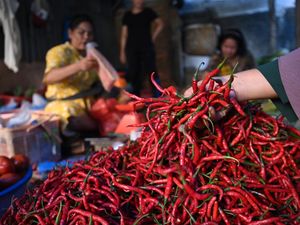 Mentan Siapkan Aturan buat Stabilkan Harga Cabai