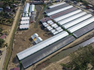 Video: Wapres Gibran Tinjau Huntara untuk Korban Bencana di Aceh Tamiang