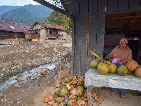 Roda Ekonomi Maninjau Mulai Berputar Lagi
