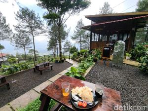 Sensasi Ngopi Syahdu di Tengah Hutan Pinus Kuningan