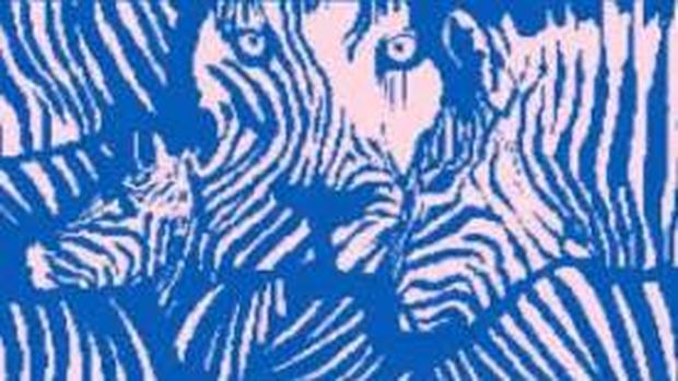 tes kepribadian ilusi optik. Gambar zebra atau singa yang pertama kamu lihat, bisa ungkap kepribadianmu introvert atau ekstrovert