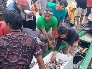 Kematian Massal Ikan di Waduk Jatiluhur Meluas hingga Tiga Kecamatan