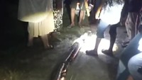 Wanita di Maros Nyaris Tewas Dililit Ular Piton 8 Meter, Selamat Usai Teriak