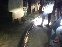 Ngeri! Wanita di Maros Nyaris Tewas Digigit dan Dililit Ular Piton 8 Meter