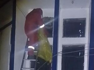 Tawon Vespa Teror Puskesmas Lawawoi Sidrap, Damkar Evakuasi