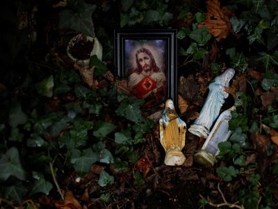 Jejak Biara Kuno Terungkap di Lemanaghan, Irlandia