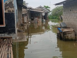 Bendungan Meluap, Rumah-Lahan Pertanian Warga Lombok Timur Terendam