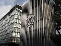 Beda Jalan dengan Trump, Ini Alasan California Jadi Negara Bagian AS yang Gabung WHO