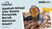 Apakah Mimpi Ular Pertanda Buruk Menurut Islam?