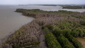Karbon, Keamanan Nasional dan Kesiapan Indonesia