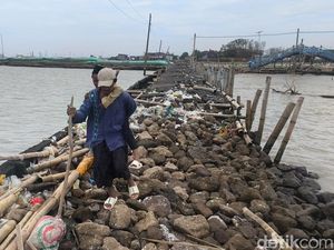 Viral Bocah Tambaksari Demak Jalan Kaki Terjang Ombak demi Masuk Sekolah