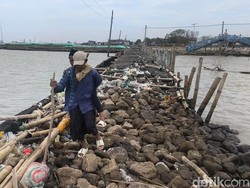Viral Bocah Tambaksari Demak Jalan Kaki Terjang Ombak demi Masuk Sekolah
