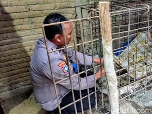 Pilu Kirno ODGJ di Ponorogo Dipasung 20 Tahun di Kandang Jeruji Besi