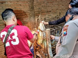 Evakuasi ODGJ Ponorogo yang Dipasung 20 Tahun Sempat Ditolak Keluarga