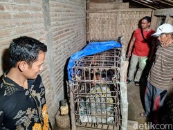 Viral ODGJ di Ponorogo Dipasung Keluarganya Selama 20 Tahun