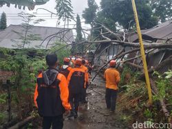 Rumah Dinas Guru SDN 22 Parepare Rusak Ditimpa Pohon Tumbang