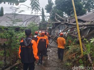 Rumah Dinas Guru SDN 22 Parepare Rusak Ditimpa Pohon Tumbang