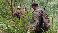 Pencarian Pendaki yang Hilang di Bukit Mongkrang Diperpanjang