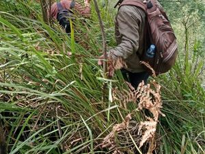 Pencarian Yasid Pendaki Hilang di Mongkrang Kembali Diperpanjang 3 Hari