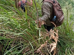 Pencarian Yasid Pendaki Hilang di Mongkrang Kembali Diperpanjang 3 Hari