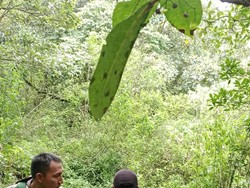 Tim Pencari Pendaki Mongkrang Telusuri Sumber Bau Misterius di Pos 3