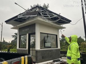 Pohon Tumbang Hantam Pos Jaga Candi Plaosan