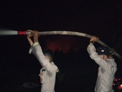 Lahan 10 Ha di Pelalawan Terbakar gegara Pikat Burung, Pelaku Ditangkap