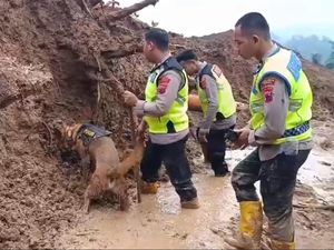 Anjing Pelacak Dikerahkan Cari Korban Longsor Watukumpul Pemalang