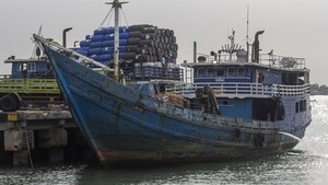 Potret Kapal Pengangkut 70 Ton Daging Ilegal yang Diamankan di Perairan Kepri