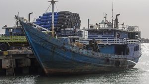 Potret Kapal Pengangkut 70 Ton Daging Ilegal yang Diamankan di Perairan Kepri