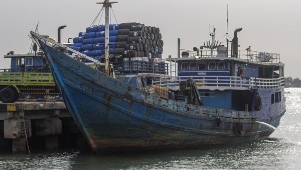 Potret Kapal Pengangkut 70 Ton Daging Ilegal yang Diamankan di Perairan Kepri
