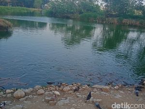 Taman Burung Cemara Asri Jadi Tempat Favorit Warga Untuk Santai dan Olahraga