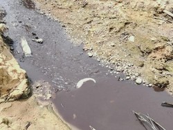 Warga Protes Sungai Tujung Diduga Tercemar Limbah, Ini Kata DLH Nunukan