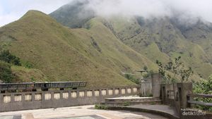 Mengintip Gagahnya Rinjani dari Pusuk Sembalun