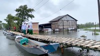 Warga Lamongan Bangun Jembatan Darurat dari Bambu di Banjir Bengawan Jero